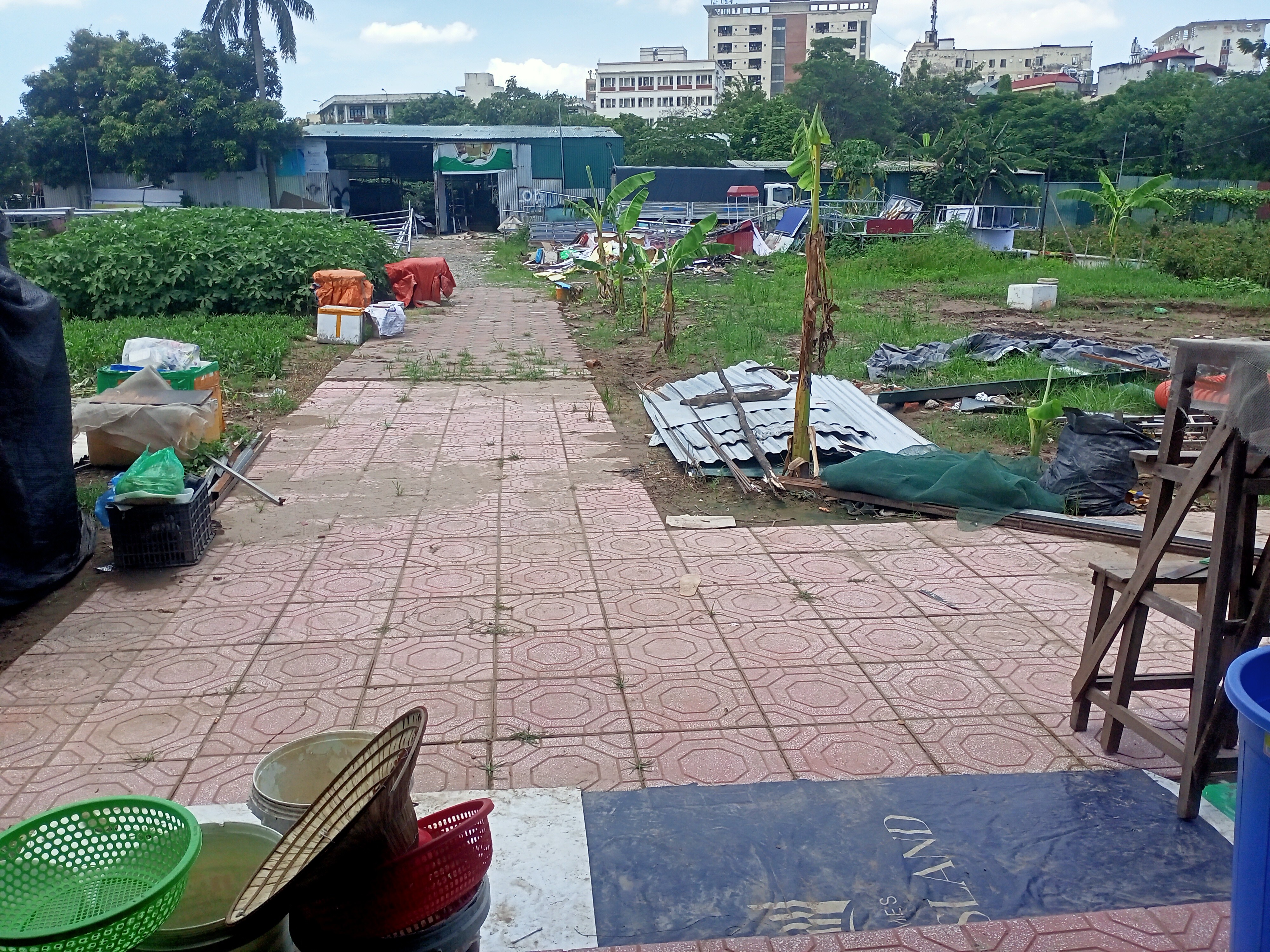 Cho thuê đất 500m² có 150m² nhà ở + mái tôn, giá rẻ chỉ 7tr/tháng-3