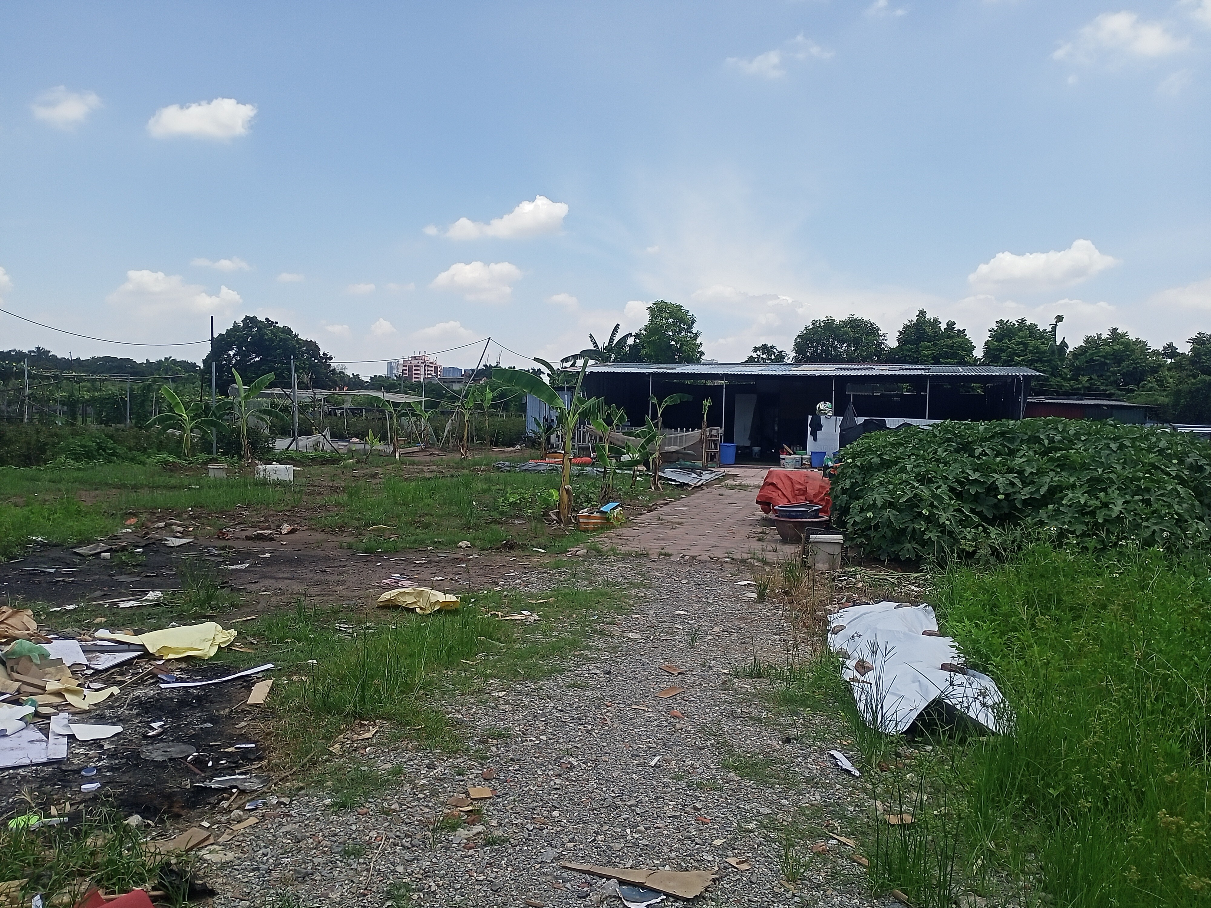 Cho thuê đất 500m² có 150m² nhà ở + mái tôn, giá rẻ chỉ 7tr/tháng-4