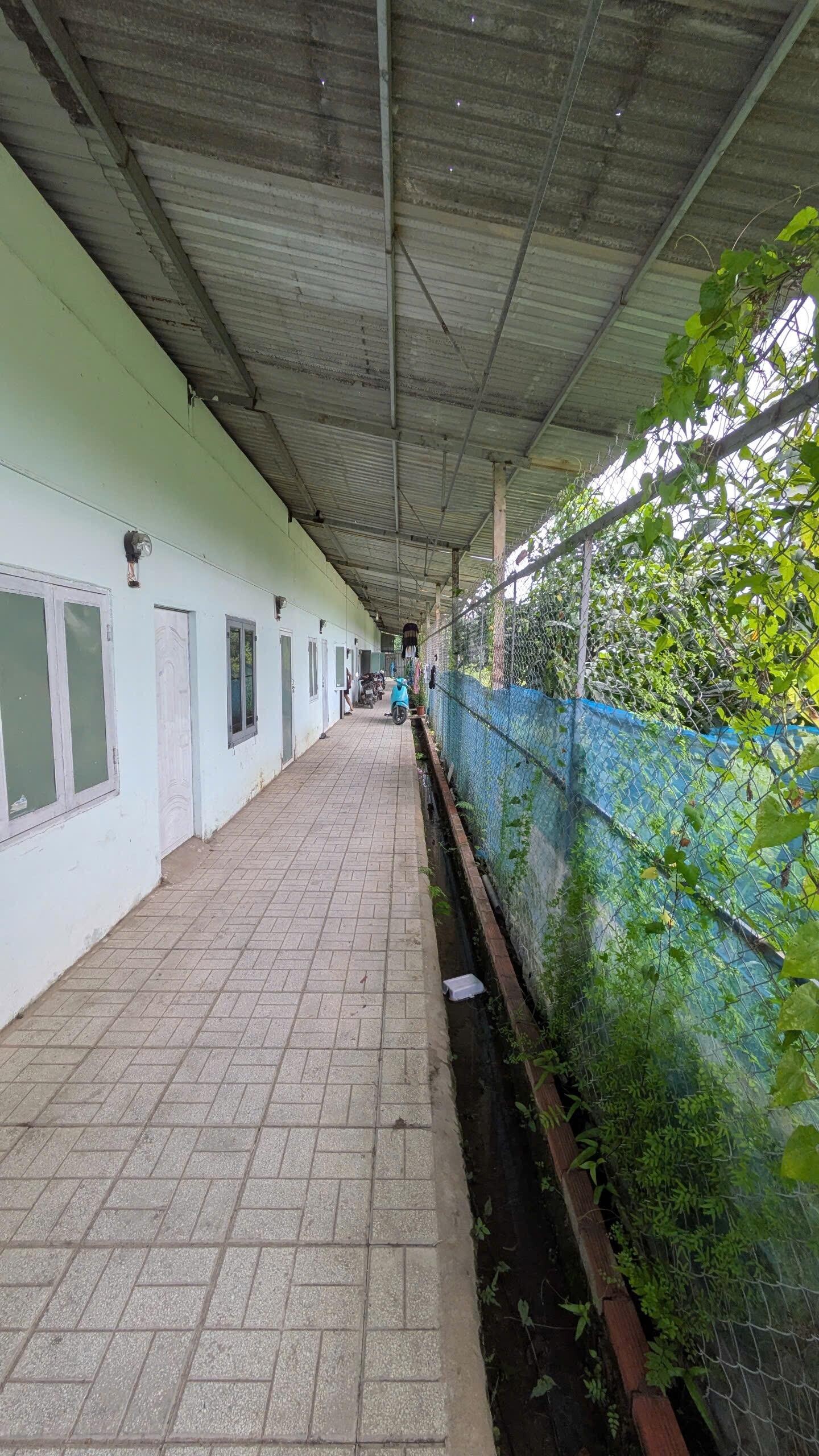 Phòng Trọ Gác Lửng 22m2 Đường Số 8 Thủ Đức-2