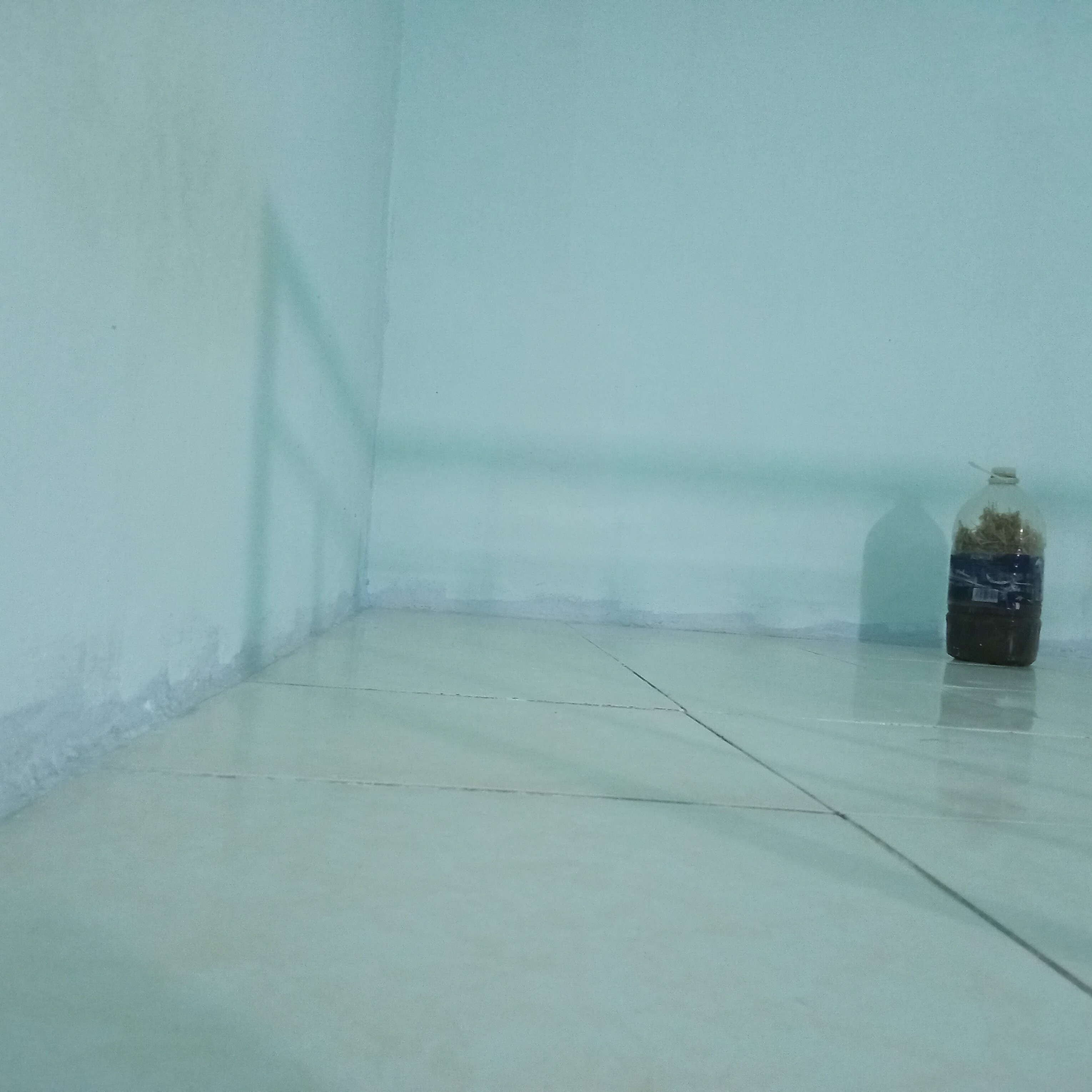 Phòng trọ giá rẻ 1 triệu/tháng – an ninh tốt, yên tĩnh-1