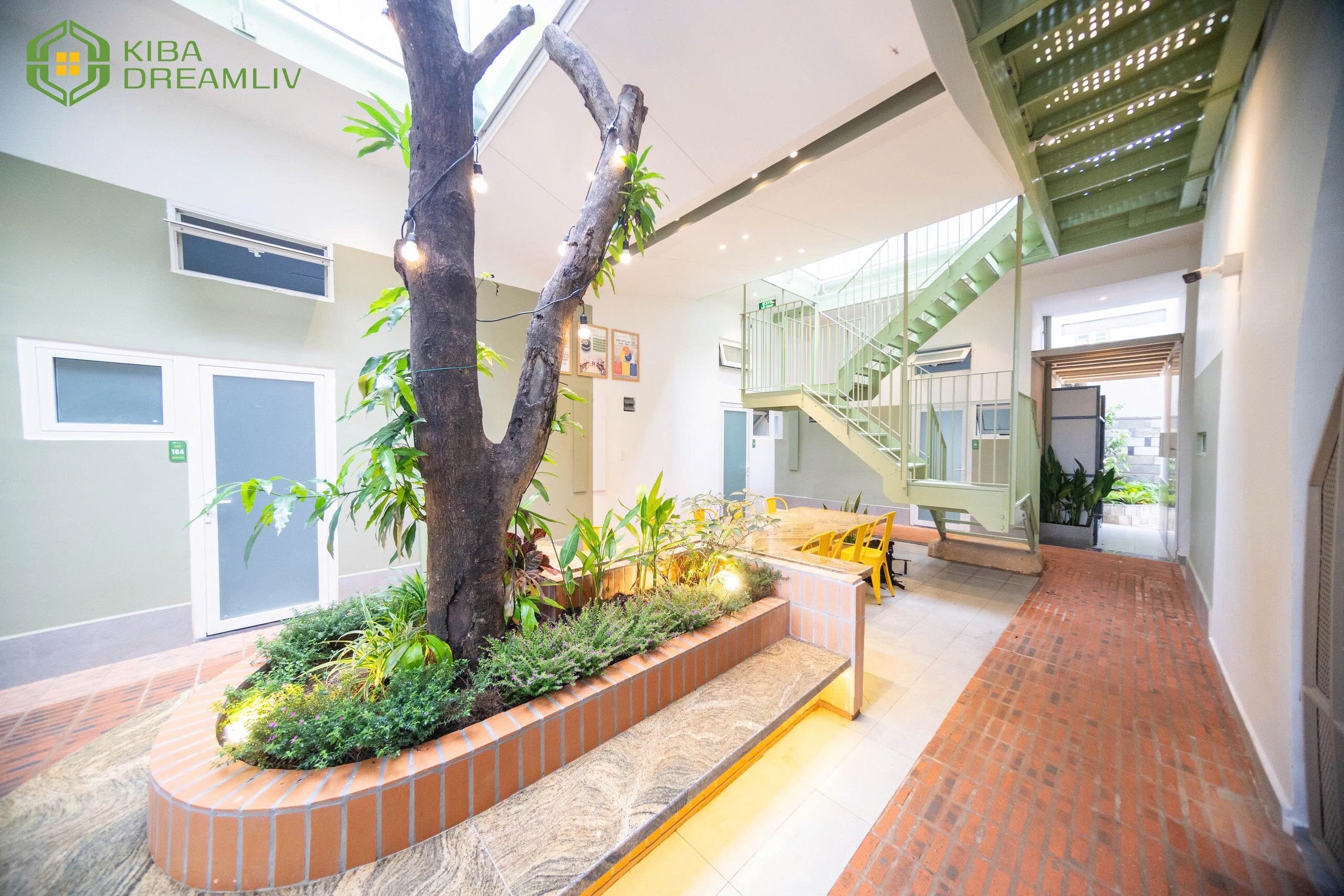 Cho thuê chdv 30m2 phú hữu - mới 100%-3