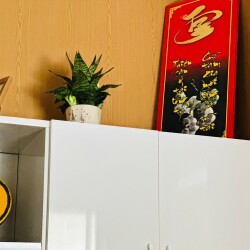 CHO THUÊ NHÀ VƯỜN HOMESTAY HÒA QUÝ – DIỆN TÍCH 149M2 – FULL NỘI THẤT – CHỈ 200K/NGÀY